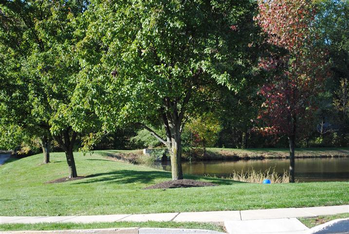 Rosecliff Manor Harleysville - In Montgomerty County