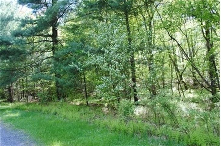 Front Land View of Arrowhead Lake Real Estate